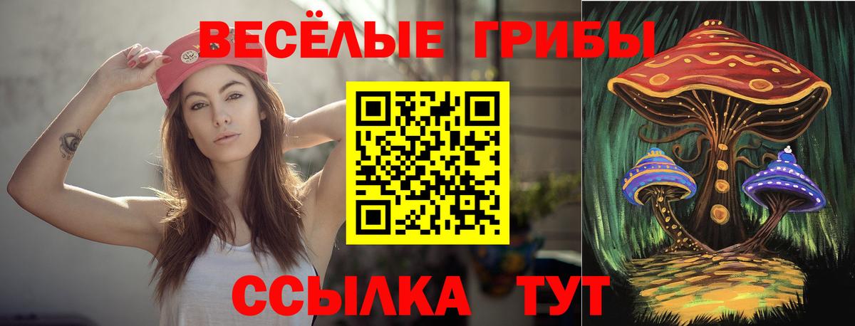хочу   Вход с VPN  Ковров  Галлюциногенные грибы Psilocybe 
